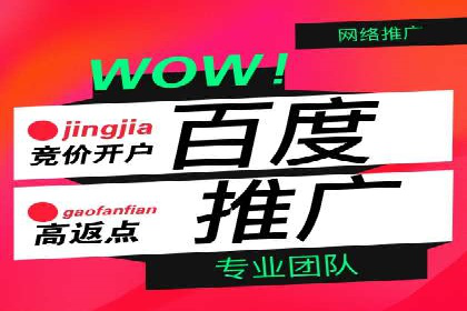 百度信息流广告的投放策略与效果对比